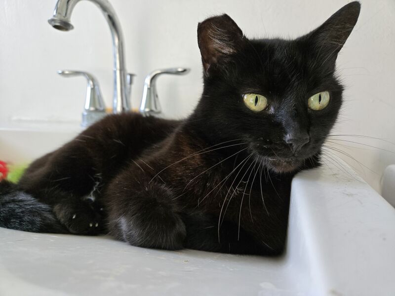 File:20251207 132552.jpg